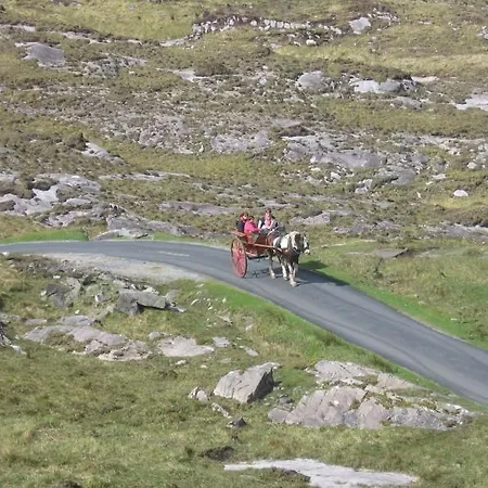 فندق مبيت وإفطار Friary View 3*