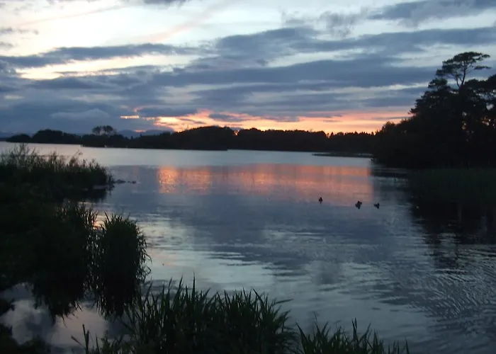 Bed & Breakfast Friary View Bed & Breakfast Killarney