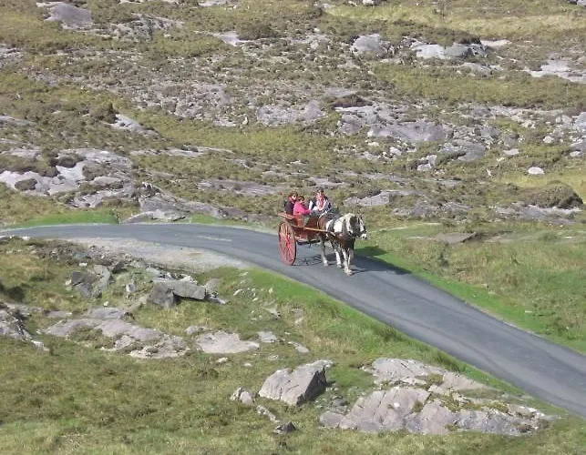 Couette-café Friary View 3*