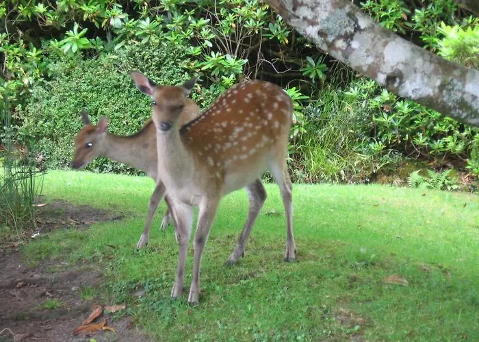 Bed and breakfast Friary View